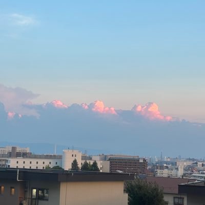 vin___blog's profile picture. //