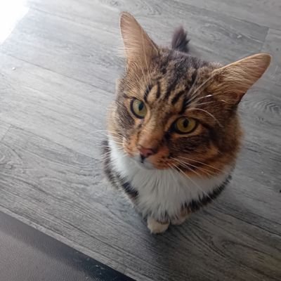 ewelink_a's profile picture. 