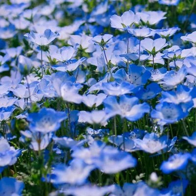 spi_peri's profile picture. 19↑
ネガツイ