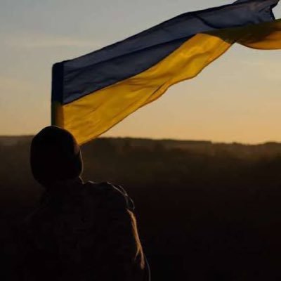 Volunteer soldier 🇺🇦 | Frontline since Bucha | Fighting for freedom & peace | No war. Only victory. (2024)