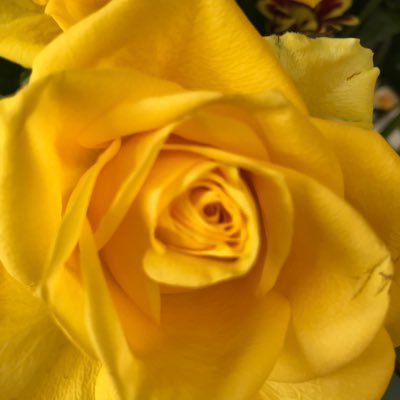 Love cooking, walking, vintage stuff, flowers, books, watching sport and everything British in no particular order.