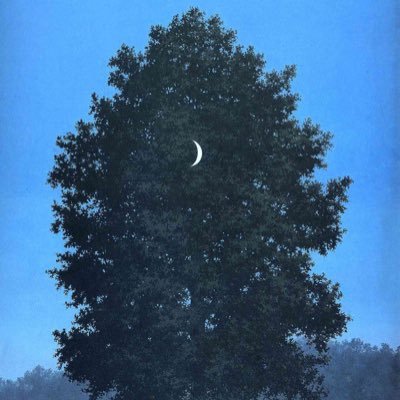 treesinnovember's profile picture. 閲覧用。好ましいものたちを集めています。成人。