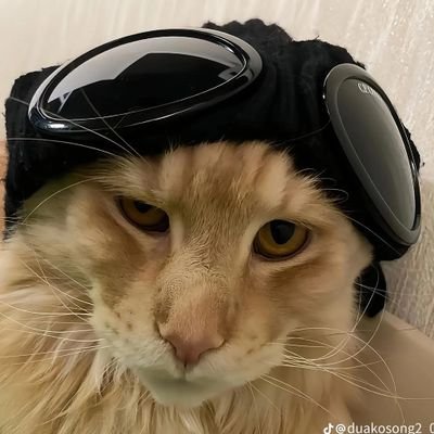 AndFtGs178509's profile picture. Building Web3 🚀 | Sharing insights & good vibes
