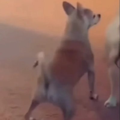 GAWK_GAWK__'s profile picture. 