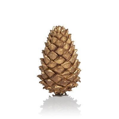 $PINECOIN – Solana’s Spiky Meme King! 🌲🚀 Fell out of the meme tree, landed on Solana. Faster than your ex’s rebound. Let’s get nutty! 🌰