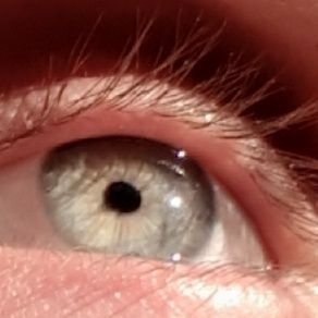 vas_harry30237's profile picture. 