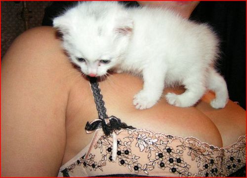 JefaMiller's profile picture. 