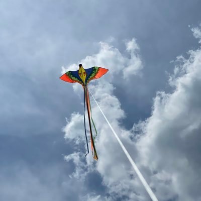 tagnizkur's profile picture. Father, gamer, big supporter of Autism Awareness