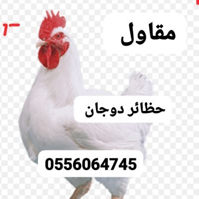 #مقاول
#حظائر #حظائر_دواجن #دواجن #مقاولات #مقاول #الرياض
#مقاولين #شركة #مقاول