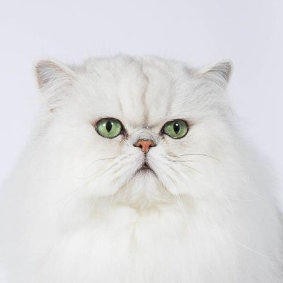 Plumplume183534's profile picture. Halte au bal des hypocrites ! soignez vous !!