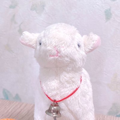 やぎさんのプロフィール画像