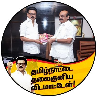 MLA - Tiruppur South (திருப்பூர் தெற்கு) | District Secretary - Tiruppur Central @arivalayam | திருப்பூர் மாநகராட்சியின் முதல் மேயர் | #தமிழ்நாடு | #திமுக.