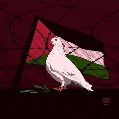 colmjdougherty's profile picture. 