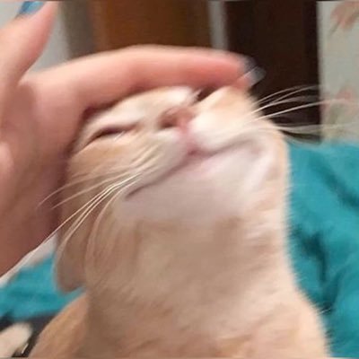 OnzenThekitty's profile picture. 20+ คิดถึงเจ่งปุ๋งตลอดไป