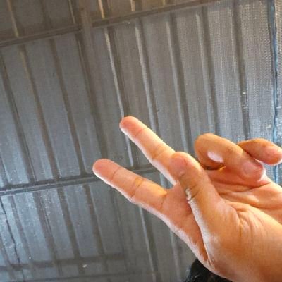 WafaMada49679's profile picture. 