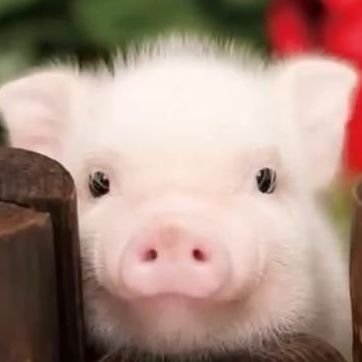 monster_toxi's profile picture. ゲーム依存症末期患者