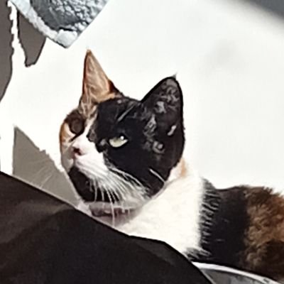 Emily81903726's profile picture. 