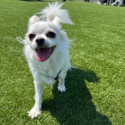 7kg_inu's profile picture. 20↑￤ほぼ日手帳￤文字を書くオタク￤https://t.co/13930Ihy2n