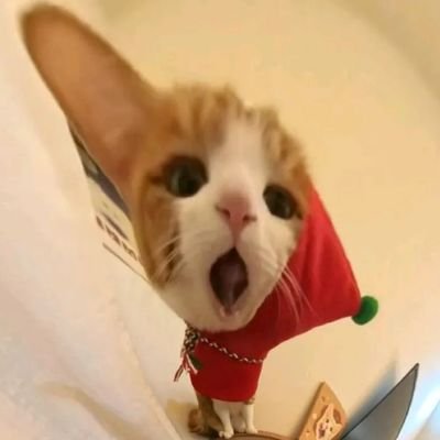 dazniella's profile picture. suka memansying dan naik gunung di rosblok, let’s be fwenddd! :3