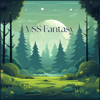@vssfantasy