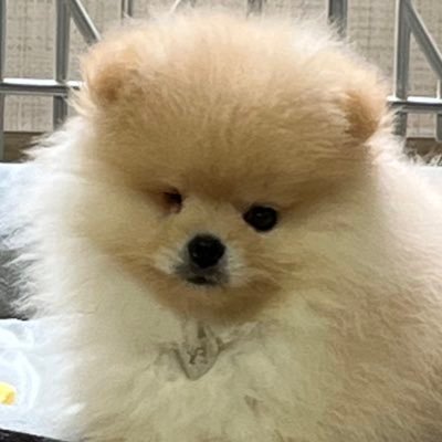 mhmj0206's profile picture. 매번 그래왔듯이 넌 나의 오늘이자 앞으로의 모든 내일 ✨