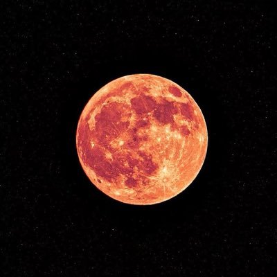 JackyHu219174's profile picture. 