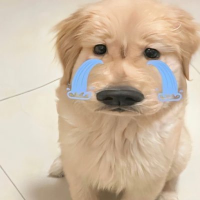 _starhappy's profile picture. เมคเฟรนได้น้าอยู่ทุกด้อม🫠