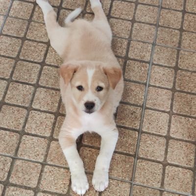 mangaerlza888's profile picture. 