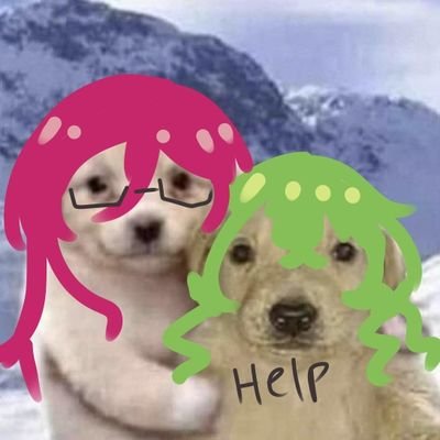 🍮Purin🍮さんのプロフィール画像