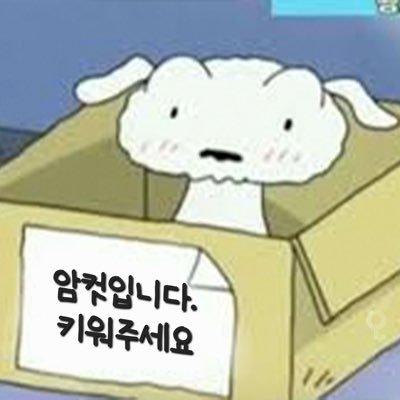 🐶FS 대형견 분양소🐶 강아지 한마리 입양 가능합니다! 무멘팔🙆🏻‍♀️ #fs #bdsm