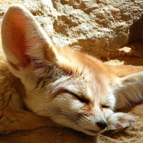 00BONNIE1's profile picture. Hack streak #3