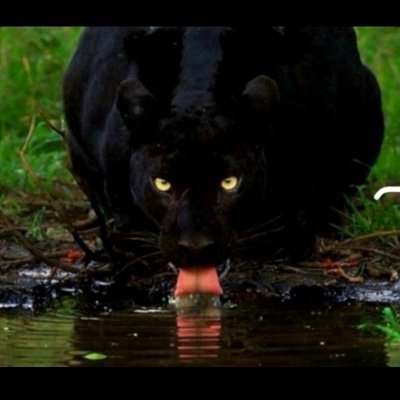 Ink_Da_FUK_Up's profile picture. MY CIRCLE IS A • NIGGA .. Money... Loyalty... nd Death Before Dishonor.. M.B.A.M ridin in my own lane..