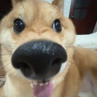 윤콩 (@yunjang8) 's Twitter Profile