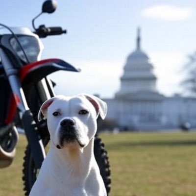 drtbke's profile picture. "Politics is downstream from culture." - Andrew Breitbart