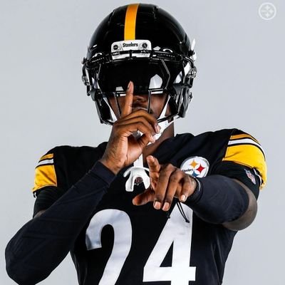 Die-Hard Pittsburgh Steelers fan PERIOD!!!!!! Penguins, Pirates, Florida State Seminoles, Baylor Bears, and Pitt Panthers. I am a complex person in every way.
