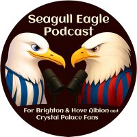 Seagull Eagle Podcast (@seagulleaglepod) 's Twitter Profile Photo
