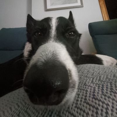 cintas_mar7945's profile picture. 