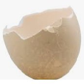 Vic_Triol's profile picture. Just half a Twitter egg. Can't afford a whole one
I am just here to be entertained by the insanity