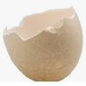 Vic_Triol's profile picture. Just half a Twitter egg. Can't afford a whole one
I am just here to be entertained by the insanity