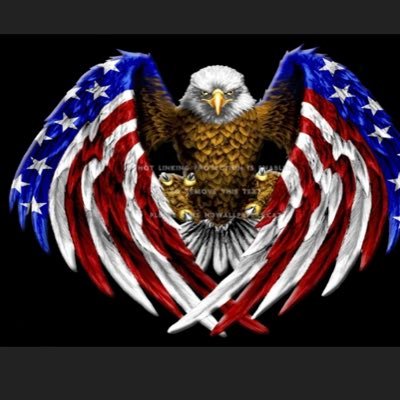 Conservative! Make America great again! God, Family country!