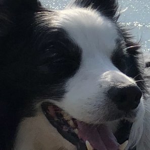 border_c_border's profile picture. アフィリエイト 
Amazonアソシエイト
売れ筋ランキング