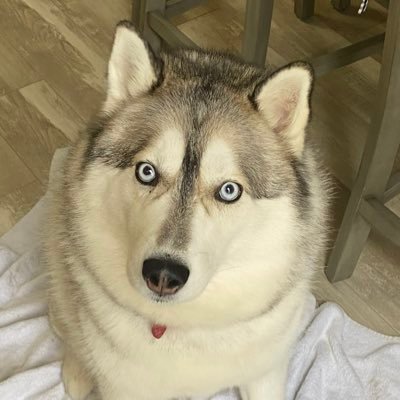 howdieyaII's profile picture. 
