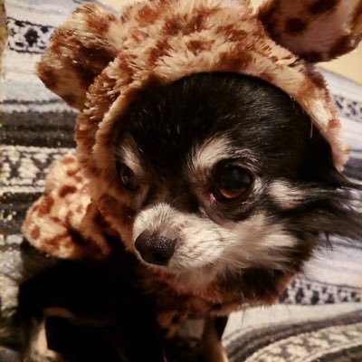 vale_dovi's profile picture. 