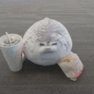 SaffyTheDoll's profile picture. It's tough being the best!
