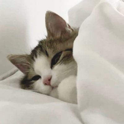 Neco2yn's profile picture.