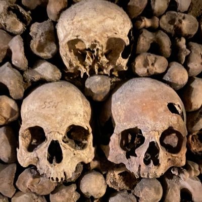themunkfred's profile picture. 