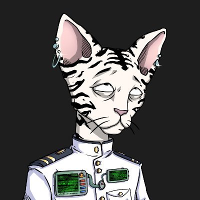 STeaque33039's profile picture. 