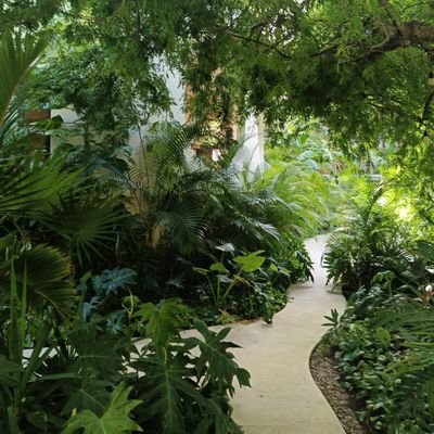 Shigeru622659's profile picture. 