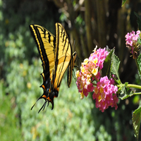 JackMurphy43285's profile picture. Believer in being risk-taking and independent. When not busy as a personal trainer, you'll find me enjoying app development, book clubs, professional developmen