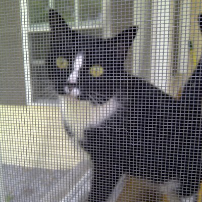 cathysm32176's profile picture. Not putting it on here, that's for sure.